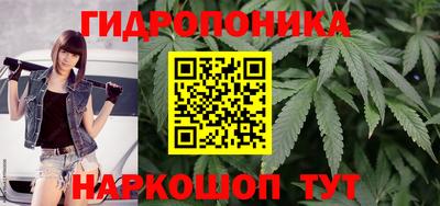 хмурый Малоярославец