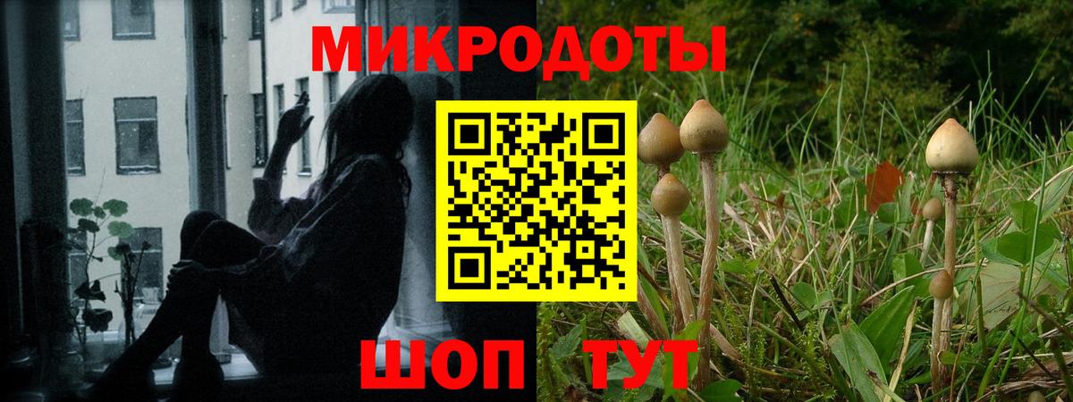 Владикавказ  Галлюциногенные грибы Psilocybe  Вход с VPN 